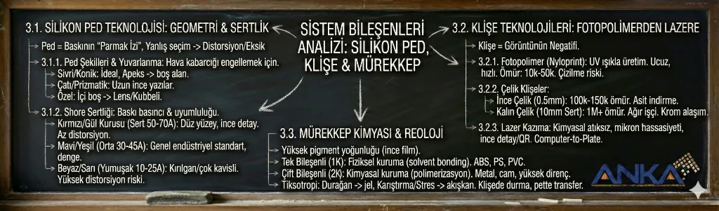 Sistem Bileşenleri
